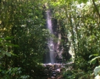 Imagen Cascada Runa Yacu
